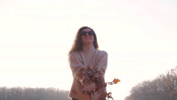 Κορίτσι πετώντας πολύχρωμα φυλλώματα του φθινοπώρου στον αέρα στο πάρκο. — Αρχείο Βίντεο