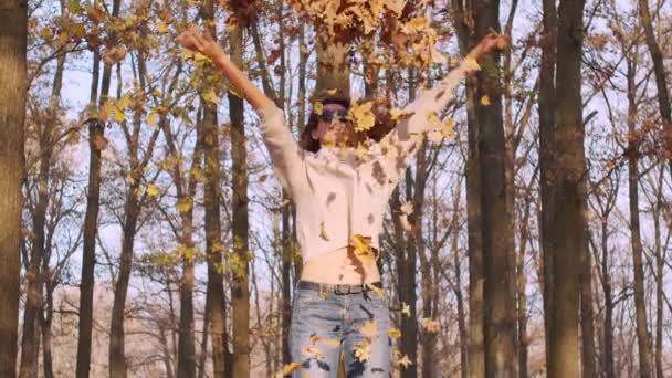 La fille jette le feuillage doré déchu. Modèle féminin jouissant de la vie en plein air nature fond. — Video