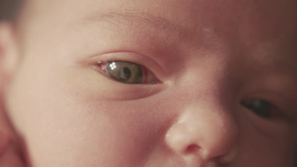 아침에 일어나서 눈을 뜨는 아기의 얼굴을 클로즈업하는 것입니다. 갓 태어난 아기는 꿈을 꾸면서 애무를 한다. 태어난 지 몇 분만에. — 비디오