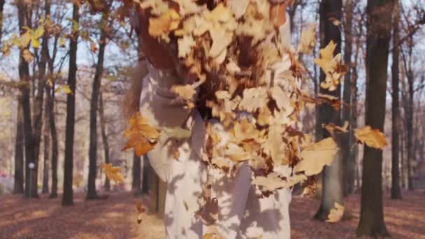 Dívka házet barevné podzimní listí do vzduchu v parku. — Stock video