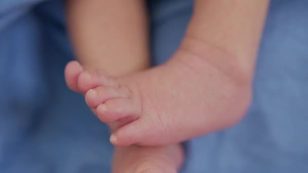 Yeni doğmuş bir bebeğin küçük ayakları. Bir çocuğa bakmak. Yakın çekim.. — Stok video