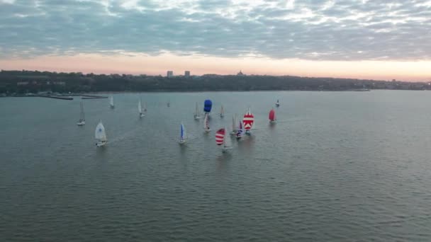 Vista superior de iates flutuantes no fundo da cidade. Competição de veleiros com vista deslumbrante da cidade. — Vídeo de Stock