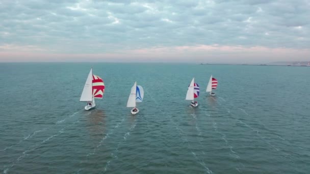 Vista superior de yates de vela flotantes en el fondo de la ciudad. Competencia de yates de vela con impresionantes vistas de la ciudad. — Vídeos de Stock