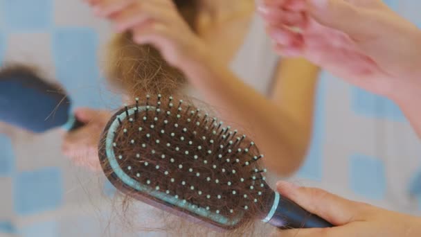 Un sacco di capelli caduti su un pettine. Problema di perdita dei capelli, insufficienza ormonale, stress, dieta, cuoio capelluto e malattia del bulbo pilifero. — Video Stock