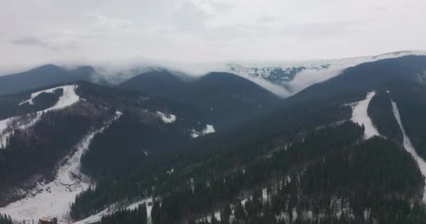 Altında yeşil çam ağaçları ve beyaz ağaçlar olan dağlar.. — Stok video