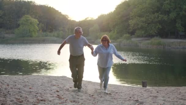 Pareja mayor cogida de la mano mientras caminan juntos en el parque. Pareja mayor romántica descansando, relajándose en la naturaleza. Felicidad gente estilo de vida . — Vídeos de Stock