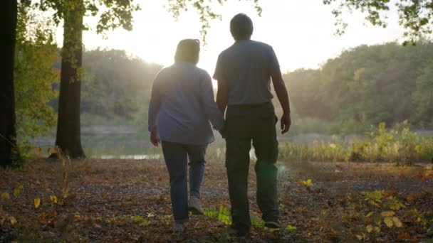Vue arrière du couple âgé tenant la main tout en marchant ensemble dans le parc. Vue arrière d'un couple romantique de personnes âgées se reposant, se relaxant dans la nature. Bonheur mode de vie des gens . — Video