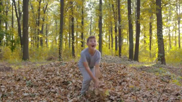 Feliz niño en el parque otoñal. Niño jugando en la caminata de otoño. Árboles otoñales con hojas doradas. — Vídeos de Stock