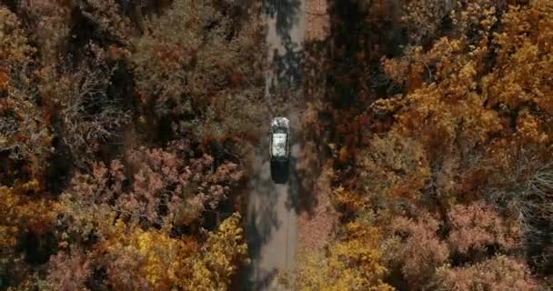 Beyaz arabanın sarı sonbahar ağaçları ve kırsal araziler boyunca çakıllı yolda hareket ettiğini gösteren üstten görüntüler.. — Stok video