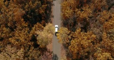 Ormanda kırsal yolda giden beyaz arabanın yukarıdan aşağı görüntüsü..