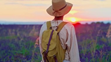 A girl tourist with a hat and a backpack walks through a lavender field during a beautiful sunset in Provence, France.