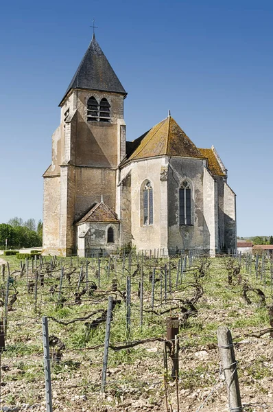 Une Ancienne Église Pierre Est Située Milieu Vignoble Dans Campagne — Photo
