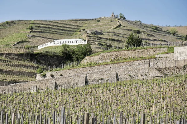 Terraced Vineyards Lead Hill Town Tain Hermitage Rhone Valley Small — Stock Photo, Image