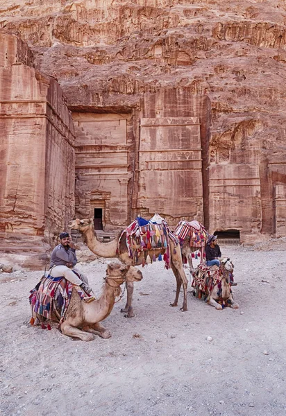 Petra Jordanien Juni 2018 Fyra Kameler Och Deras Förare Vänta — Stockfoto