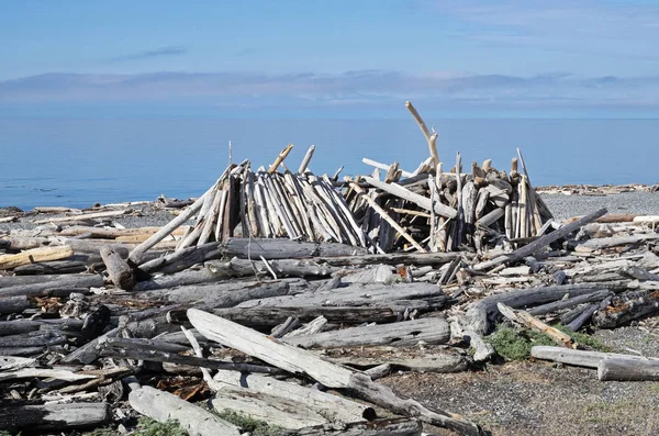 Driftwood Zostały Pobrane Dodane Domowe Schronisko Południowej Plaży San Juan — Zdjęcie stockowe