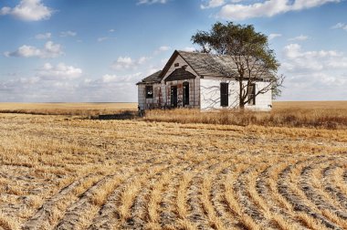 Doğu Washington buğday alanında ortasında küçük bir terk edilmiş çiftlik standları.