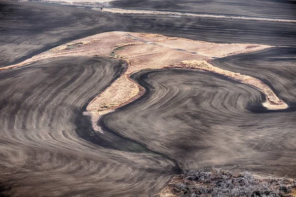 Small Section Natural Prairie Surrounded Plowed Fields Waiting Planted Palouse — Stock Photo, Image