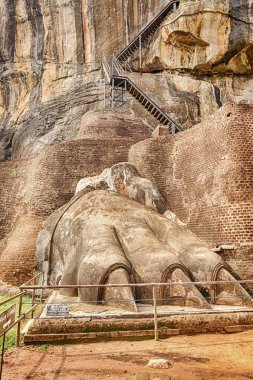 Kraliyet Sarayı simgesel aslan Rock Sigiriya Sri Lanka, üst önde gelen son merdiven girişinde pençe.