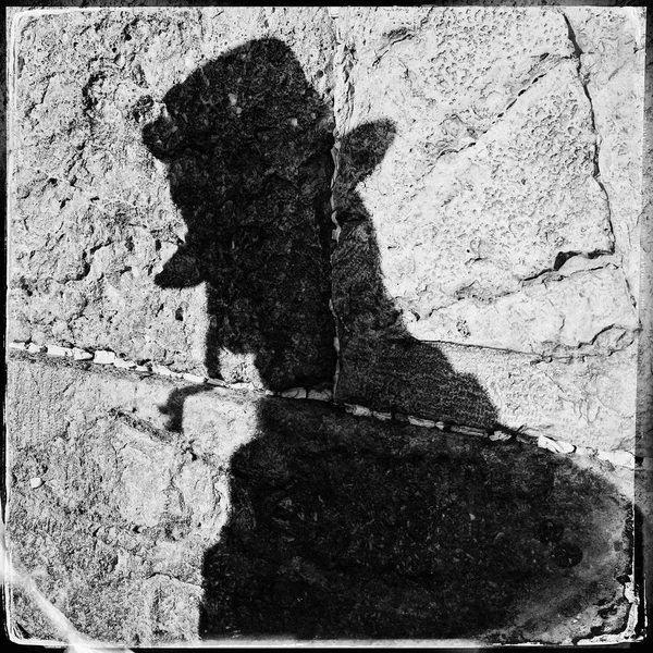 Black Shadow Observant Jew Praying Falls Portion Wailing Wall Old — Stock Photo, Image