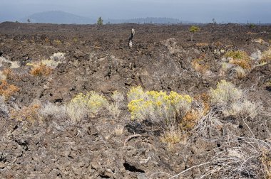 Lav Akışı Manzarası