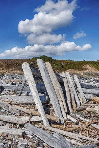 San Juan Island Lean-To Structure — Stock fotografie