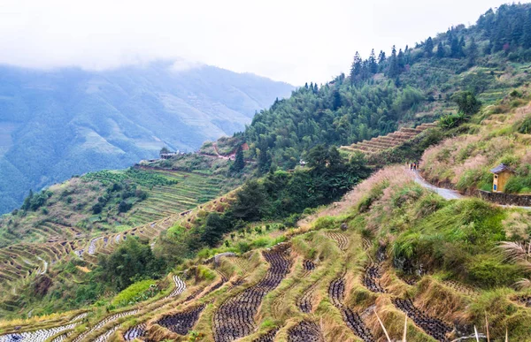 Chinese Dorp Rijst Terrassen Bij Bewolkt Weer Guilin Guangxi China — Stockfoto