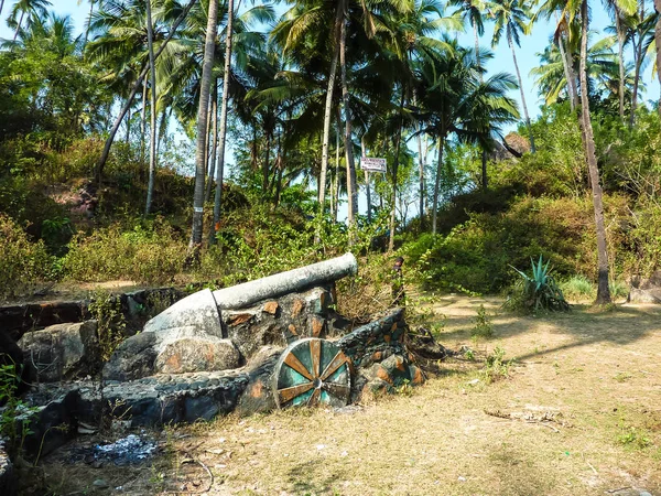 印度果阿 2011年2月22日 葡萄牙老枪站在印度果阿 在棕榈树和灌木丛中通往帕洛林海滩的路上 — 图库照片
