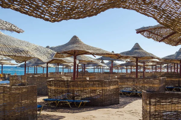 Red Sea, Makadi Körfezi, Hurghada, Mısır üzerinde geniş bir plajda mesafe içine uzanan güneşten hasır şemsiyeler satırları.