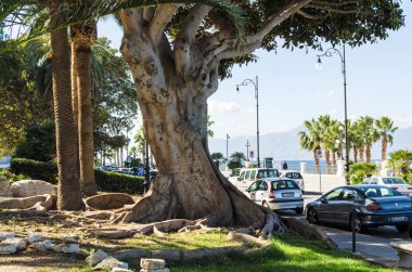 Reggio Calabria, İtalya - 30 Ekim 2017: Reggio di Calabria sahil mesire Lungomare Falcomata Reggio Calabria, Güney İtalya'nın doğal görünümü