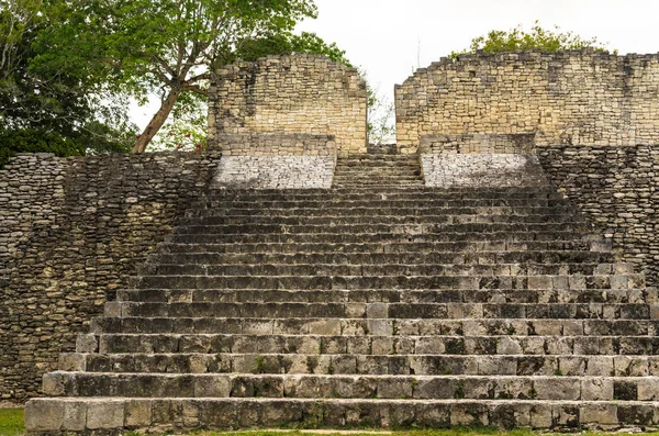 コウンリッヒのマヤの都市の遺跡 コロンビア前マヤ文明の大規模な考古学的遺跡 ユカトン半島 州キンタナルー メキシコ — ストック写真