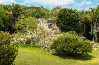Kohunlich Maya kentinde Kalıntıları - kolomb öncesi Maya uygarlığının büyük arkeolojik site, seçici odak, Yucatn Yarımadası, devlet Quintana Roo, Meksika 