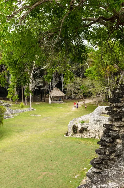 コウンリッヒのマヤの都市の遺跡 コロンビア前マヤ文明の大規模な考古学的遺跡 選択的焦点 ユカトン半島 州キンタナルー メキシコ — ストック写真