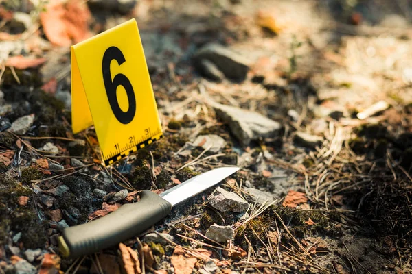 Knife Woods Photos Murder Crime Scene Investigation Weapon Knife — Stock Photo, Image