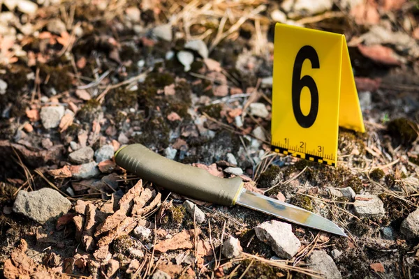Knife Woods Photos Murder Crime Scene Investigation Weapon Knife — Stock Photo, Image