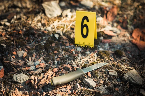 Knife Woods Photos Murder Crime Scene Investigation Weapon Knife — Stock Photo, Image