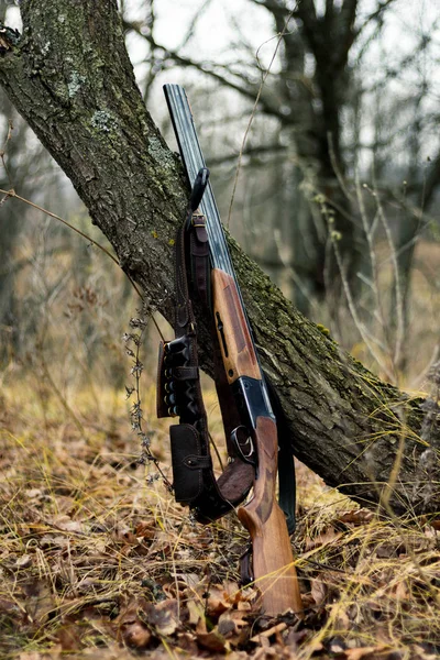 Vadászpuska. a vadászat koncepcióját. vadászati háttér — Stock Fotó