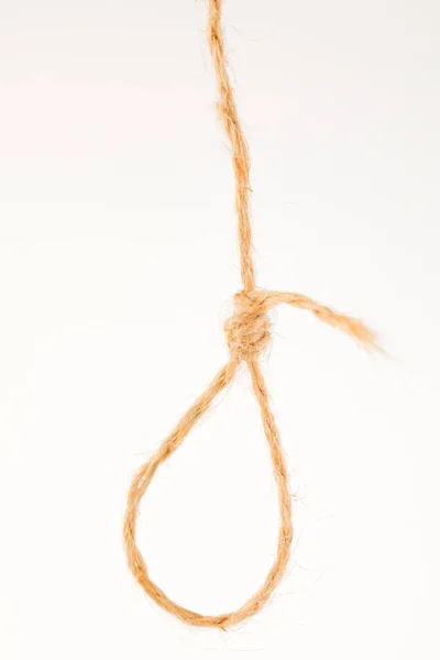 A forca, uma corda para pendurar em um fundo branco — Fotografia de Stock