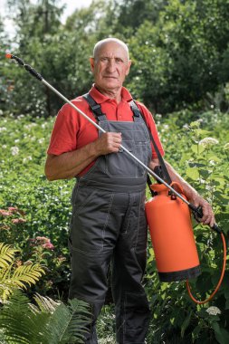 Çiftçi, bitkileri korumak için onları ilaçlıyor.