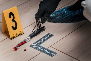 Suç mahallinde kriminolog var. Kayıtlar ve teftişler.