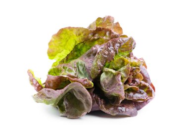 Marul yaprakları beyaz arkaplanda yalıtılmış.