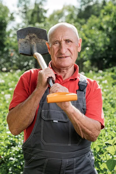 Dospělý samec farmáře, který se při lopatce v pozadí t — Stock fotografie