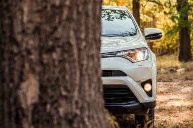 Rusya, Tambov 5.09.2019: Toyota Rav4, ormanda yol dışı.