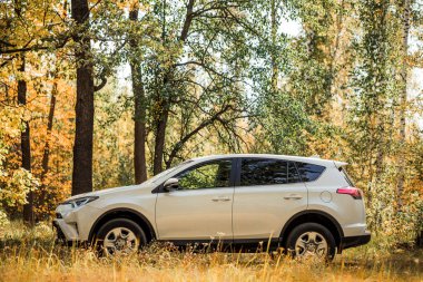Rusya, Tambov 5.09.2019: Toyota Rav4, ormanda yol dışı.