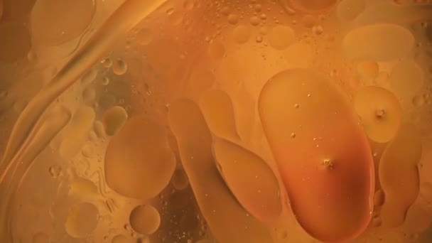 Крупный План Движения Капель Масла Поверхности Воды Красочный Абстрактный Макрофон — стоковое видео