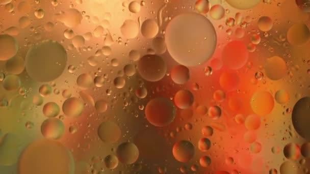 Close Movimento Gotículas Óleo Superfície Água Fundo Macro Abstrato Colorido — Vídeo de Stock