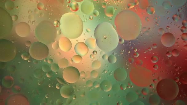 Närbild Förflyttning Oljedroppar Vattenytan Färgglada Abstrakt Makro Bakgrund Oljedroppar Vattenytan — Stockvideo