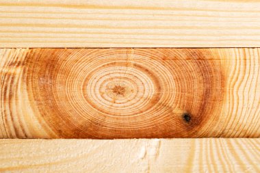 Ağaç dallı ahşap tahta. Oval dalı olan bir tahta parçası. İnşaat kurulu yakın plan. Ahşap dokusu.