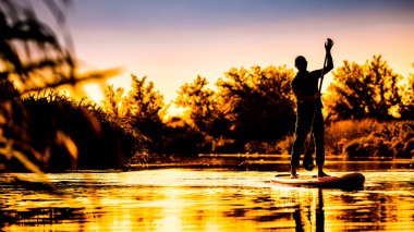 Güzel bir gündoğumunda SUP 'de kürek çeken genç bir adam.