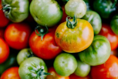 Domatesin makro fotoğrafı. Domatesler sıralanır. Seçici odak