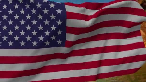 Símbolo América Bandeira Dos Estados Unidos América Fundo Abstrato Bandeira — Vídeo de Stock